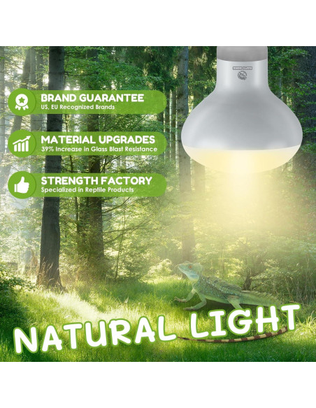 Bombillas de Calor REPTI HOME 100W para Reptiles - Paquete de 2