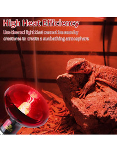 Bombillas de Calor Infrarrojas REPTI HOME 100W para Reptiles 2