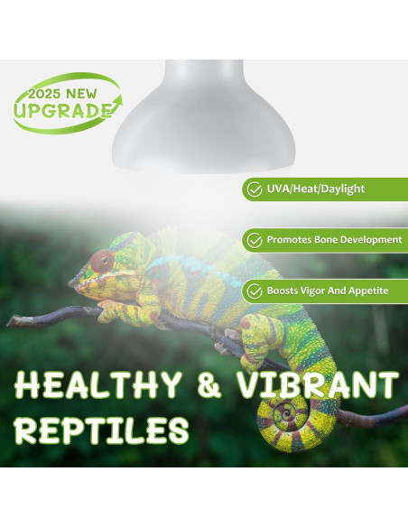 Bombillas de Calor REPTI HOME 100W para Reptiles - Paquete de 2