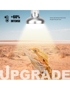 Lámpara de Calor para Reptiles ReptiKing 75W Paquete de 2 2