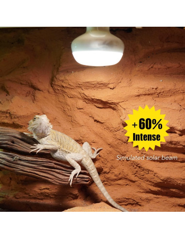 Lámpara de Calor para Reptiles ReptiKing 75W Paquete de 2