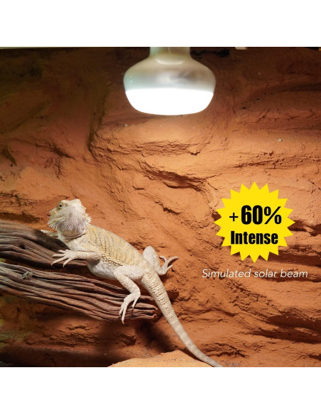 Lámpara de Calor para Reptiles ReptiKing 75W Paquete de 2