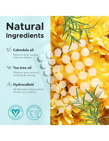 Parches para Granos TKTK - 140 Unidades, 4 Tamaños Hidrocoloide Parches para Granos TKTK - 140 Unidades, 4 Tamaños Hidrocoloide