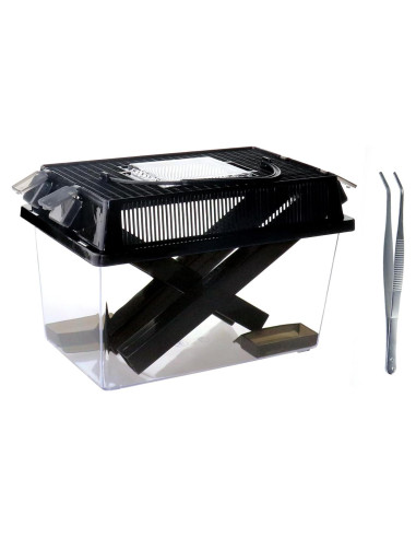 Guardián de Grillos NANEEZOO Grande con Plato y Agua