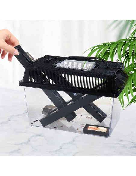 Guardián de Grillos NANEEZOO Grande con Plato y Agua