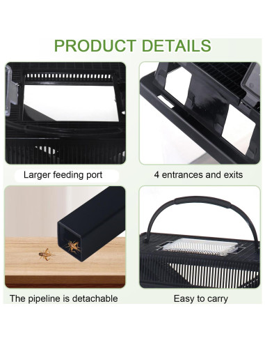 Guardián de Grillos NANEEZOO Grande con Plato y Agua