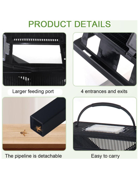 Guardián de Grillos NANEEZOO Grande con Plato y Agua