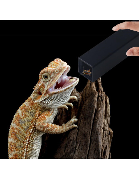 Guardián de Grillos NANEEZOO Grande con Plato y Agua