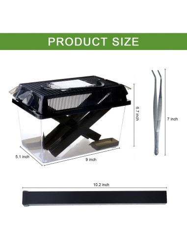 Guardián de Grillos NANEEZOO Grande con Plato y Agua