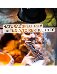 Bombillas de Calor para Reptiles ReptiKing 100W Paquete de 2 2