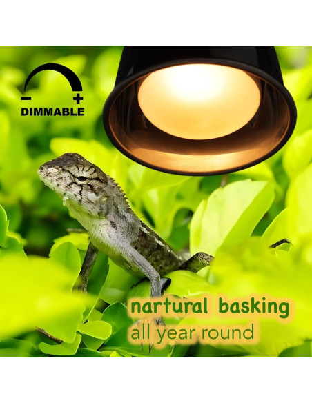 Bombillas de Calor para Reptiles ReptiKing 100W Paquete de 2