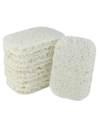 10 Soportes de Jabón Nydotd Antideslizantes PVC Blanco