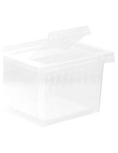 Caja de Crianza para Reptiles FRCOLOR 7x7x4.5cm Transparente