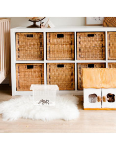 Caja de Crianza para Reptiles FRCOLOR 7x7x4.5cm Transparente 2