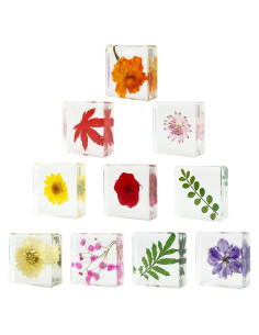 10 Pesas de Papel de Flores Secas ShioShin - Decoración Resina