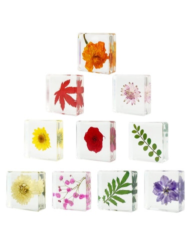10 Pesas de Papel de Flores Secas ShioShin - Decoración Resina