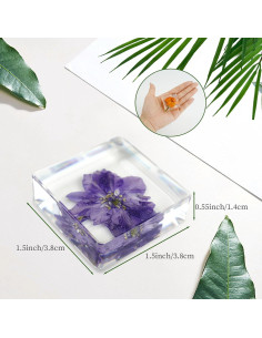 10 Pesas de Papel de Flores Secas ShioShin - Decoración Resina 2