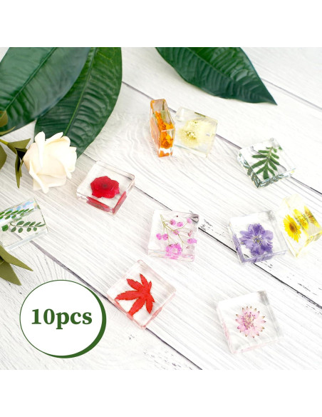10 Pesas de Papel de Flores Secas ShioShin - Decoración Resina