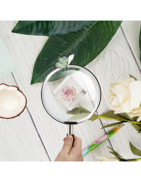 10 Pesas de Papel de Flores Secas ShioShin - Decoración Resina