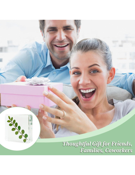 10 Pesas de Papel de Flores Secas ShioShin - Decoración Resina