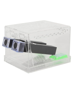 Caja de Alimentación Acrílica Grande 50x35x25cm para Insectos