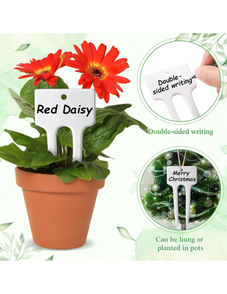 Paquete de 24 Etiquetas de Cerámica para Plantas 10x5 cm