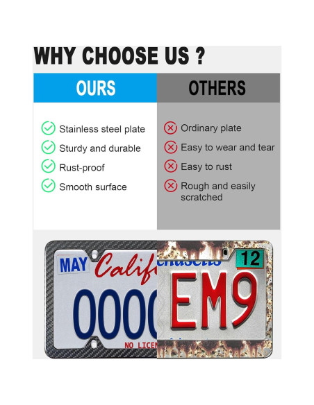 Marco de Placa de Licencia BGGTMO Fibra de Carbono 31.2x16cm