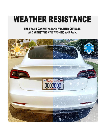 Marco de Placa de Licencia BGGTMO Fibra de Carbono 31.2x16cm