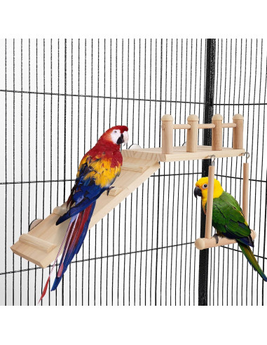 Gimnasio de Juego para Aves FrgKbTm con Escalera y Columpio