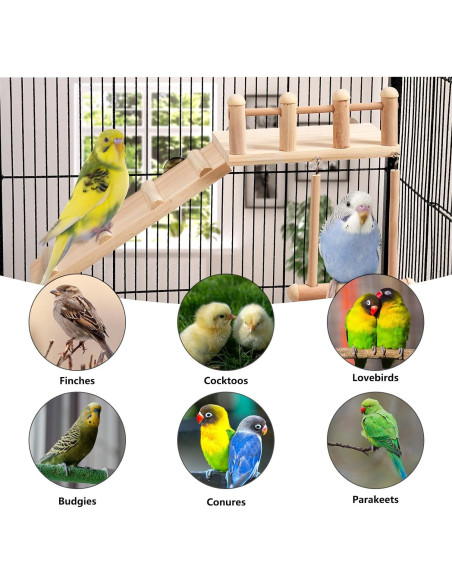 Gimnasio de Juego para Aves FrgKbTm con Escalera y Columpio