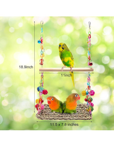 Columpio para Aves Coolrunner con Hamaca y Campanas Coloridas