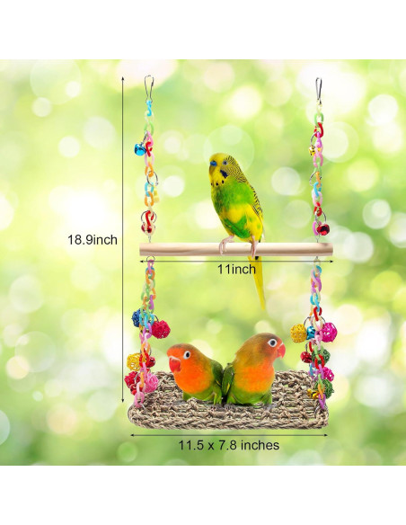 Columpio para Aves Coolrunner con Hamaca y Campanas Coloridas