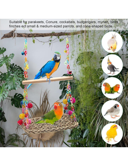 Columpio para Aves Coolrunner con Hamaca y Campanas Coloridas