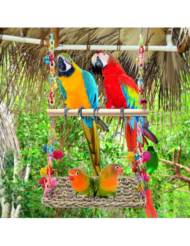 Columpio para Aves Coolrunner con Hamaca y Campanas Coloridas