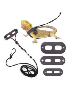 Arnés y Correa Ajustable para Dragón Barbudo - 3 Tamaños S, M, L