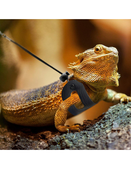 Arnés y Correa para Reptiles BWOGUE, Cuero Ajustable, 3 Tamaños