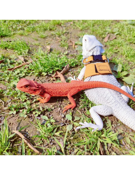 Juego de Arnés y Correa SEZDEKI para Dragón Barbudo - 3 Tamaños Ajustables Juego de Arnés y Correa SEZDEKI para Dragón Barbudo - 3 Tamaños Ajustables