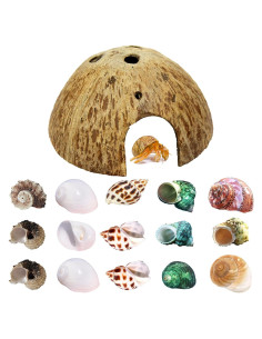 Cámaras de Cangrejo Ermitaño Sinkoo 15 PCS Conchas Marinas