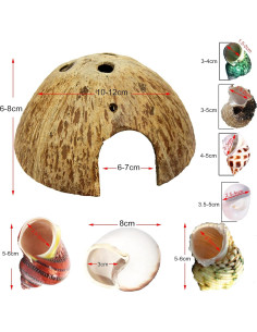 Cámaras de Cangrejo Ermitaño Sinkoo 15 PCS Conchas Marinas 2