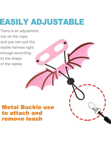 Conjunto Arnés y Correa Ajustable CoguZed para Dragón Barbudo S/M/L