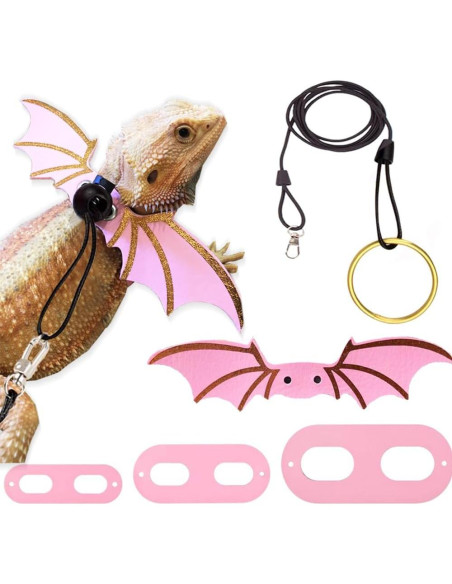 Conjunto Arnés y Correa Ajustable CoguZed para Dragón Barbudo S/M/L