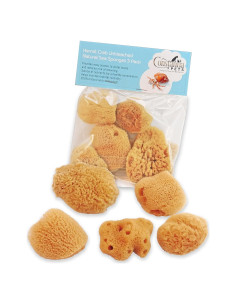 Esponjas de Mar para Cangrejos Ermitaños - Paquete de 5 Sin Blanquear