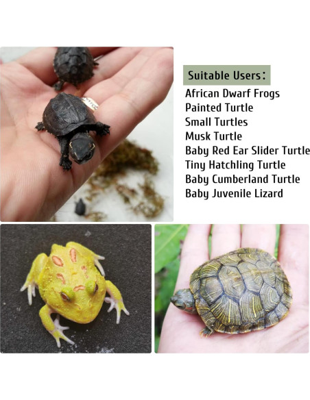 Plataforma de Sol para Tortugas PINVNBY 15.2x6.9 cm Resina