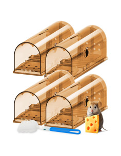 Trampa Humana para Ratones CTB Dealz - Paquete de 4 Segura