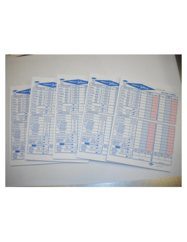 250 Hojas de Puntuación Triple Yahtzee General Foam