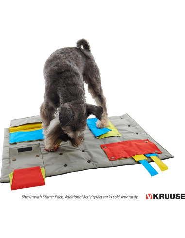 Kruuse Tarea Trampa de Ratón para Alfombra BUSTER