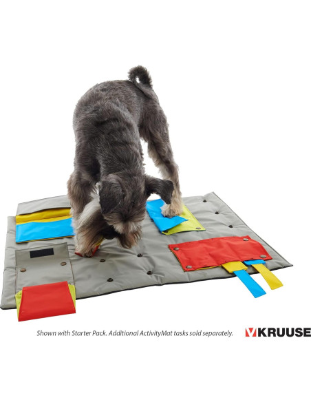 Kruuse Tarea Trampa de Ratón para Alfombra BUSTER Kruuse Tarea Trampa de Ratón para Alfombra BUSTER