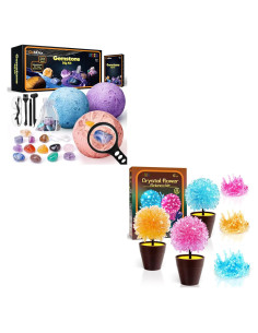 Kit de Excavación de Gemas GobiDex + Crecimiento de Cristales