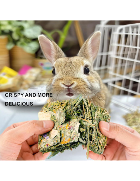 Juguetes de Masticar para Conejos Grembeb 12pcs Heno Timothy