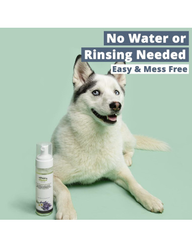 Champú Seco para Perros Paw Choice - Espuma Hipoalergénica Lavanda